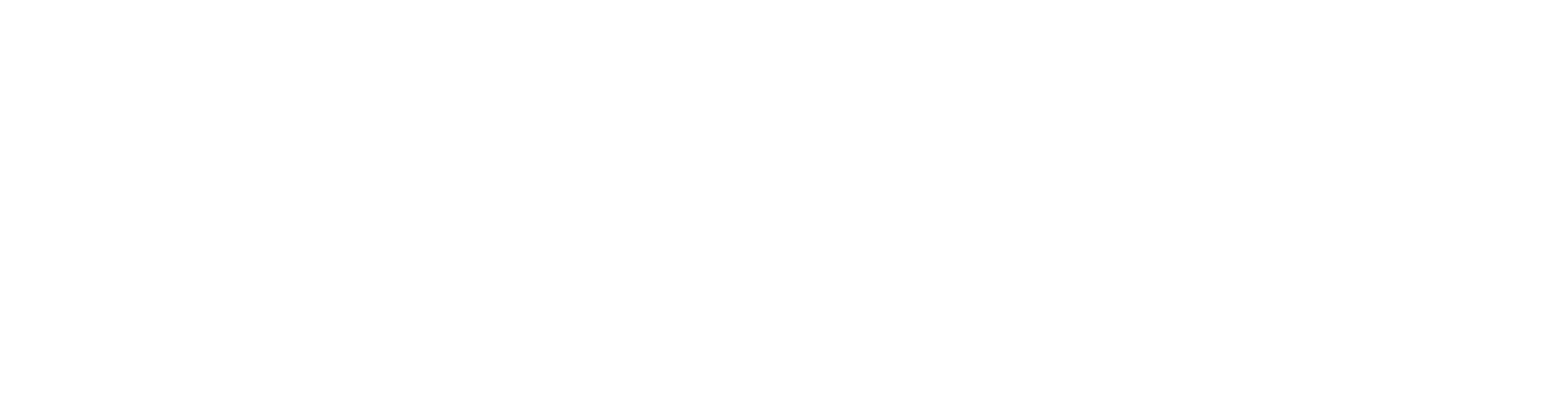 N-Home A/V